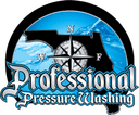 Professional Pressure Washing
